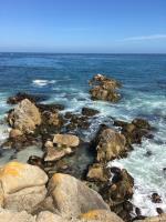 Monterey Surf Inn image 10